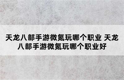 天龙八部手游微氪玩哪个职业 天龙八部手游微氪玩哪个职业好